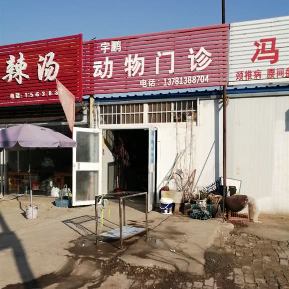 宇鹏动物医院:濮阳市华龙区