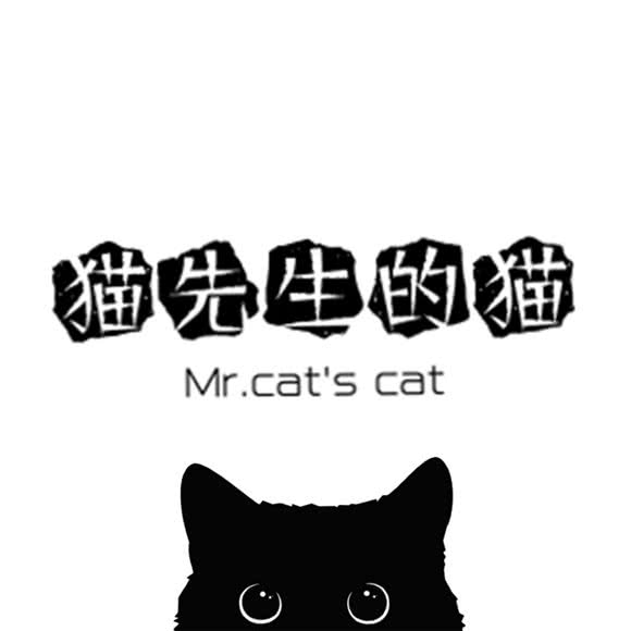 猫先生的猫:乌海市海勃湾区二中附近