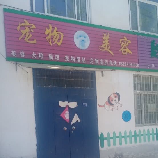 宠物美容:濮阳市清丰县