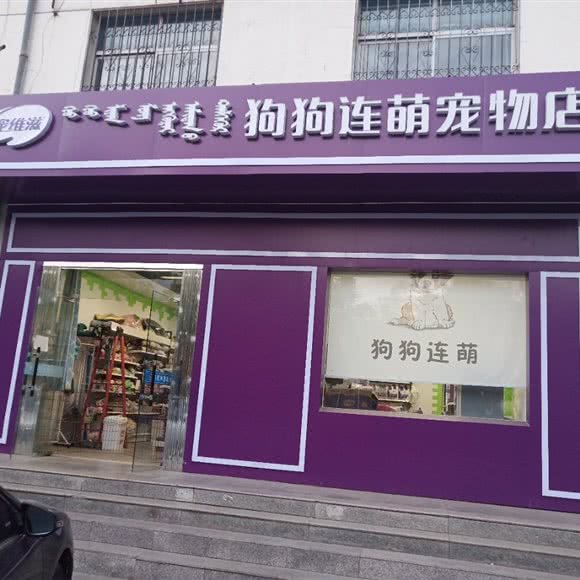 宠维滋狗狗连萌宠物店:乌海市海勃湾区建设路附近