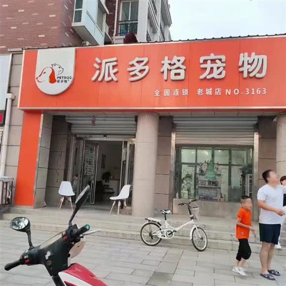 派多格宠物(老城店):濮阳市濮阳县