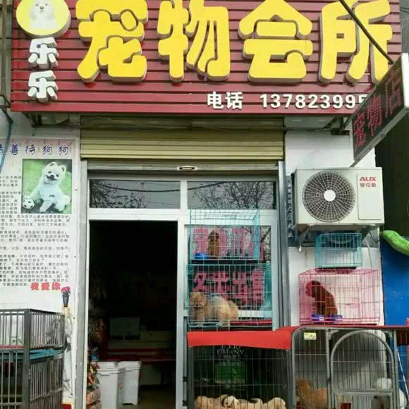 乐乐宠物会所(许由路店):许昌市建安区