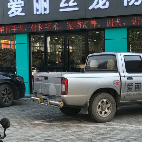 爱丽丝宠物:许昌市禹州市