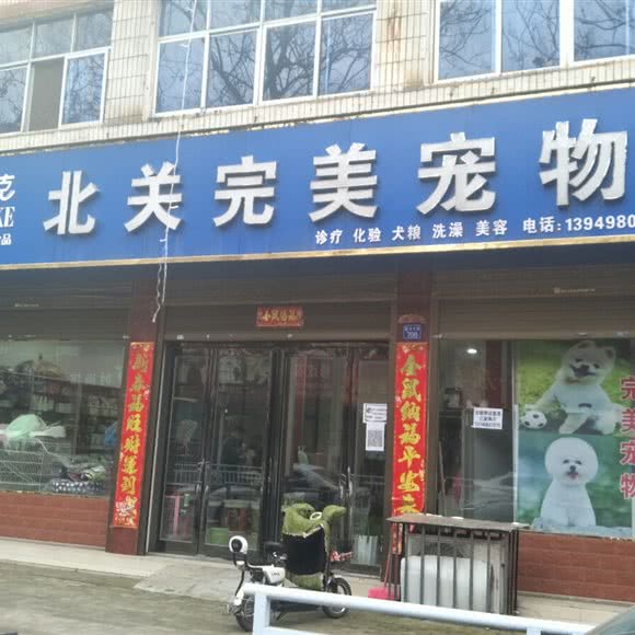 北关完美宠物狗:许昌市禹州市
