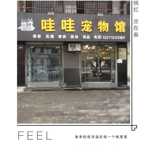 哇哇宠物馆:许昌市长葛市