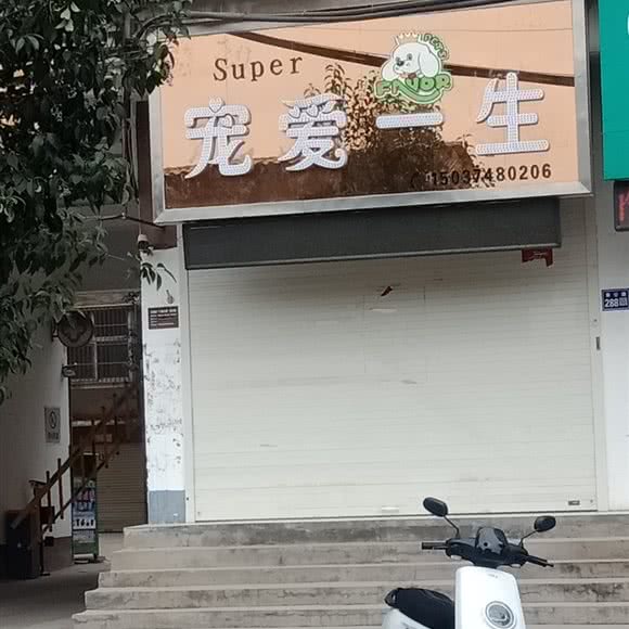 宠爱毕生:许昌市长葛市