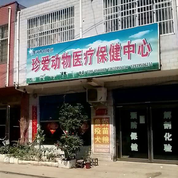 珍爱动物医疗保健中心:漯河市召陵区
