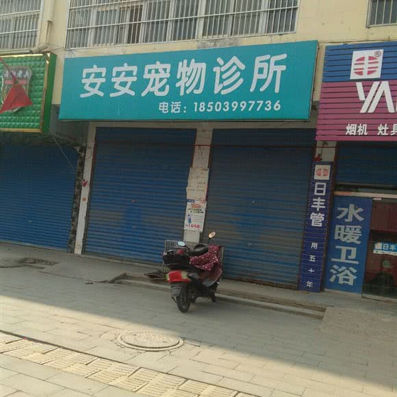安安狗狗诊所:漯河市舞阳县