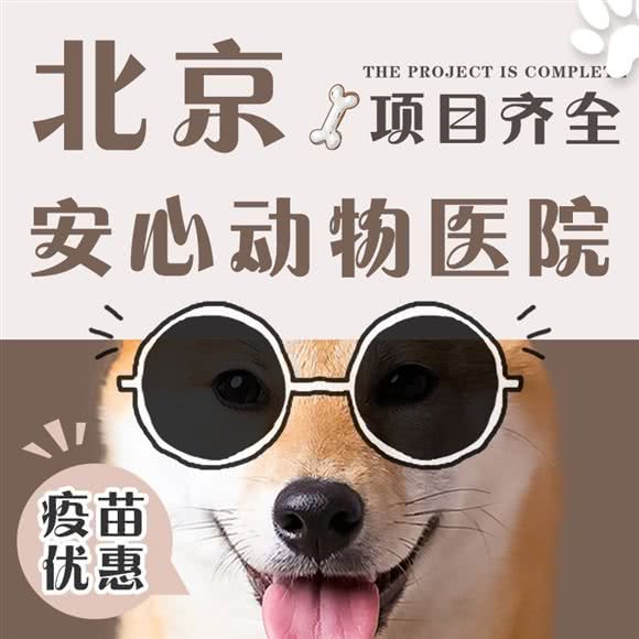 北京安心动物医院:北京城区东城区沙子口附近