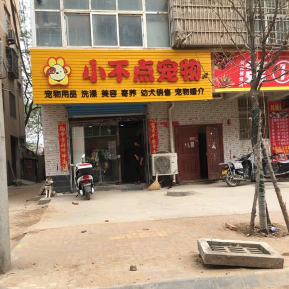 小不点宠物:三门峡市渑池县