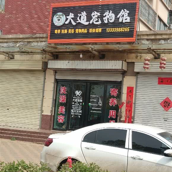 犬道宠物馆:三门峡市义马市