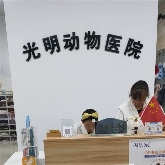 光明犬猫专科医院(义马市花园南路店):三门峡市义马市