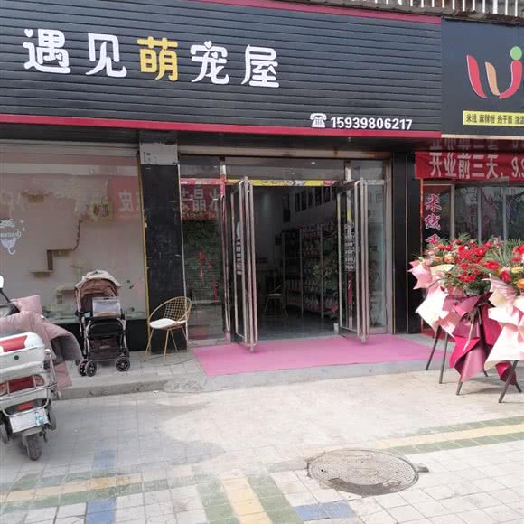 遇见萌宠屋:三门峡市灵宝市