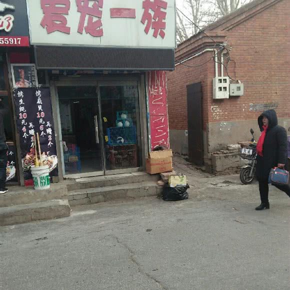 爱宠一族:赤峰市红山区红山区步行街附近