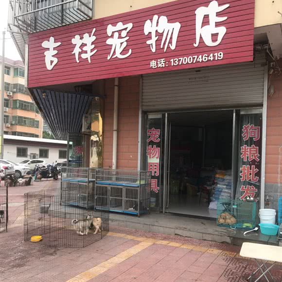吉祥宠物店:三门峡市灵宝市