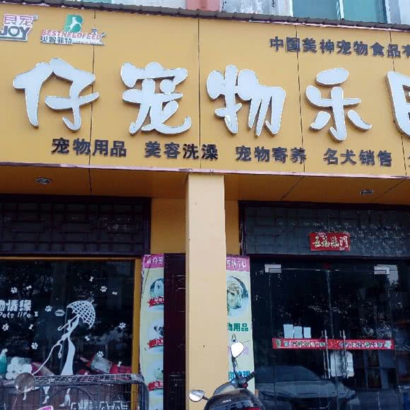 萌仔宠物乐园:三门峡市灵宝市