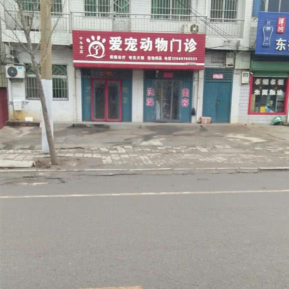 爱宠动物门诊:三门峡市灵宝市