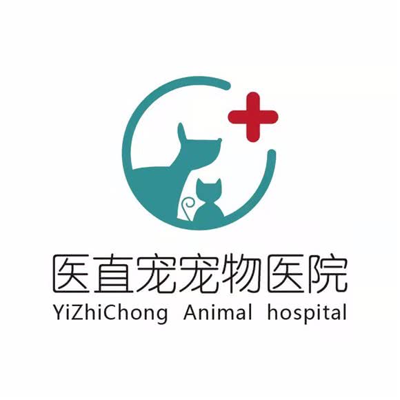 医直宠宠物医院(张衡路店):南阳市宛城区