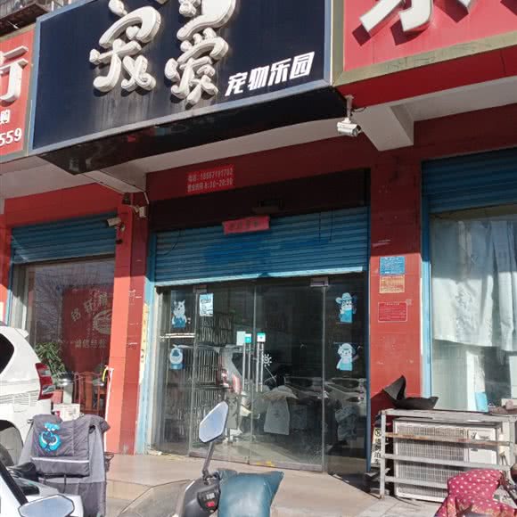宠爱宠物乐园:南阳市卧龙区