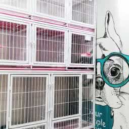 爱犬小筑·宠物美容:赤峰市红山区军分区附近