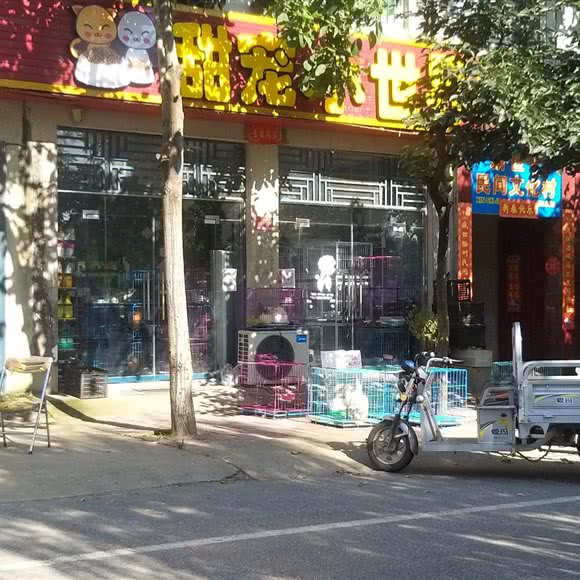 甜宠小世界:南阳市方城县