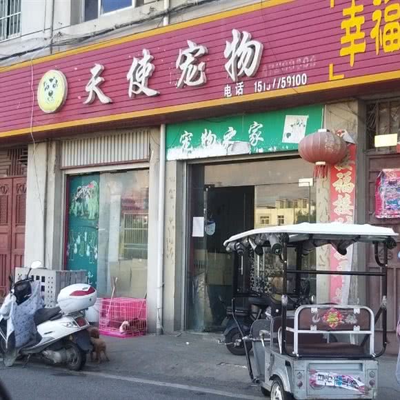 天使宠物:南阳市方城县