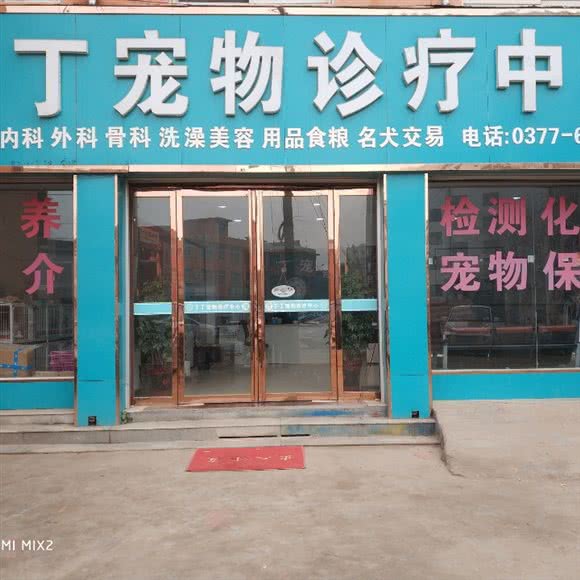 丁丁宠物诊疗中心:南阳市方城县