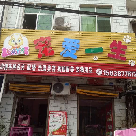 宠爱一生宠物店:南阳市镇平县
