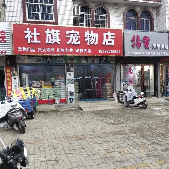 社旗宠物店:南阳市社旗县