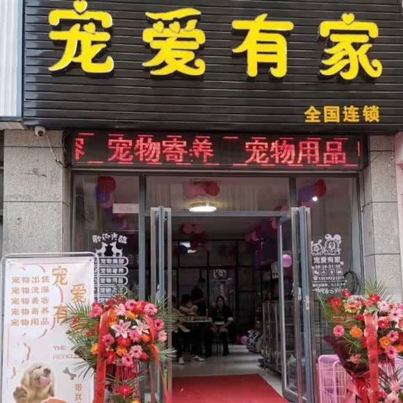 宠爱有家:南阳市新野县