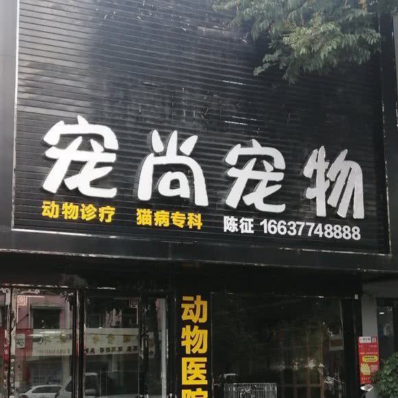 宠尚宠物:南阳市邓州市