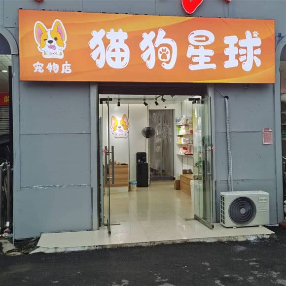 猫狗星球:南阳市邓州市