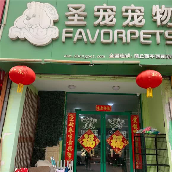 圣宠宠物(南京路店):商丘市睢阳区