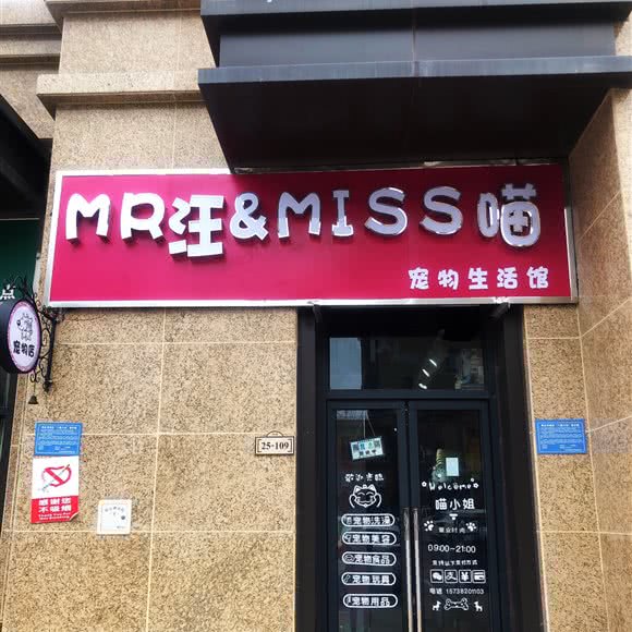 MR汪&MISS喵:商丘市睢阳区