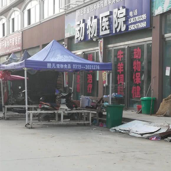 动物医院:商丘市睢阳区