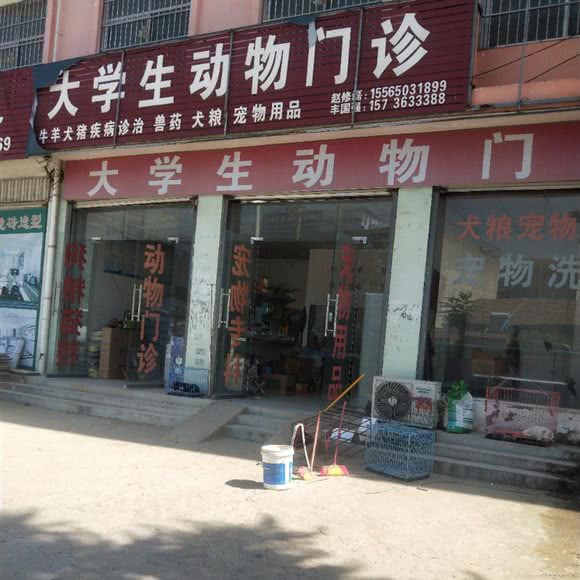 大学生动物门诊:商丘市民权县
