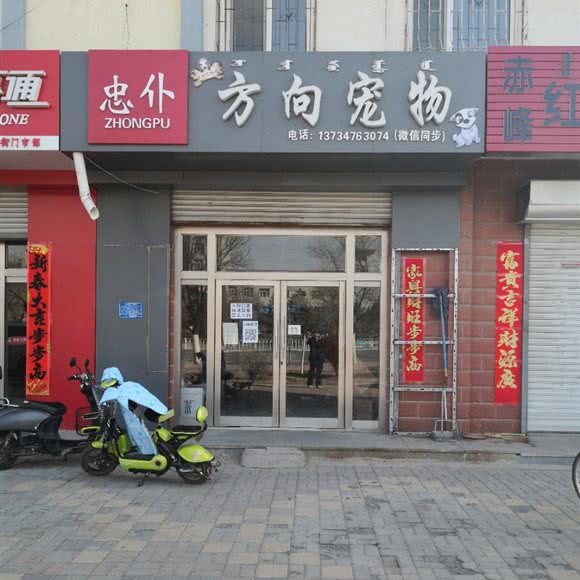 忠仆方向宠物:赤峰市元宝山区哈河街附近