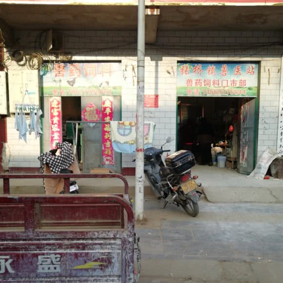 张桥镇兽医站:商丘市柘城县