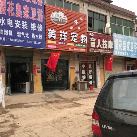 美洋宠物:商丘市虞城县