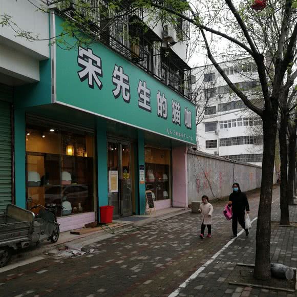 宋先生的猫咖:商丘市永城市