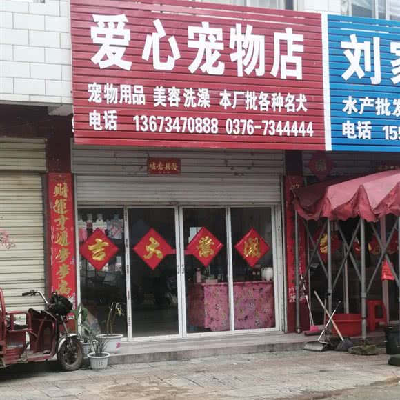 爱心宠物店:信阳市商城县