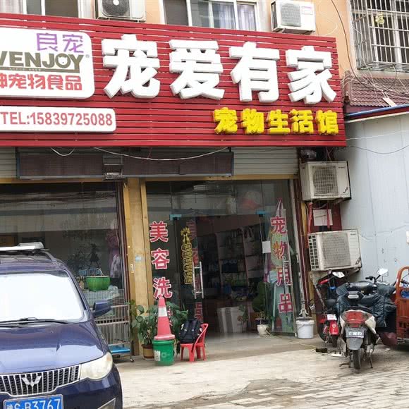 良宠 宠爱有家:信阳市淮滨县