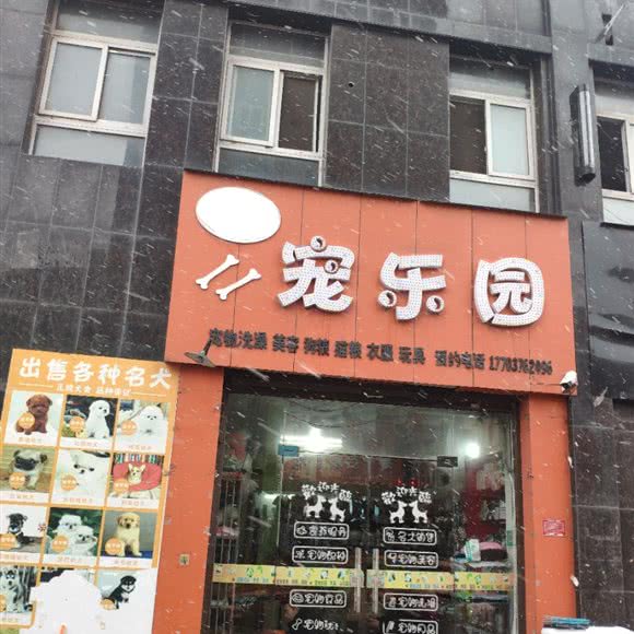 宠乐园:信阳市息县