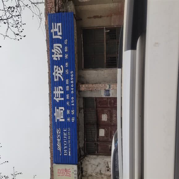 高伟宠物店:周口市扶沟县