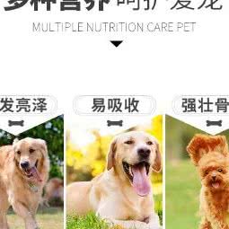 淘气宠物医院:周口市扶沟县