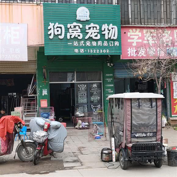 狗窝宠物:周口市西华县