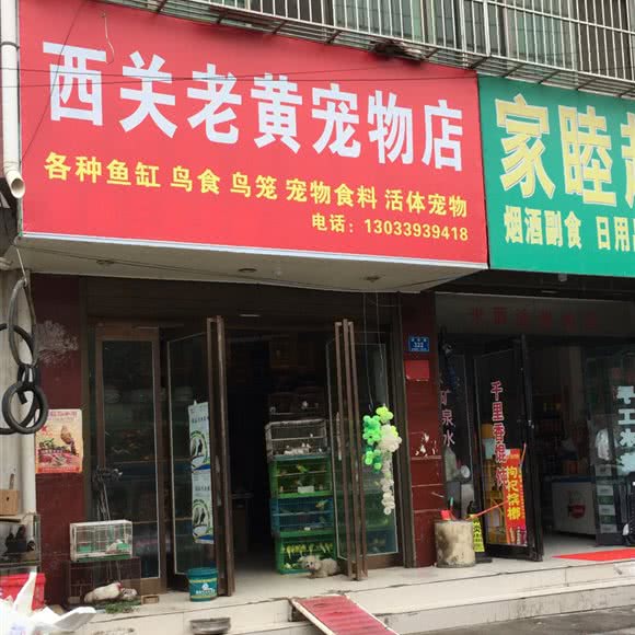 西关老黄宠物店:周口市西华县