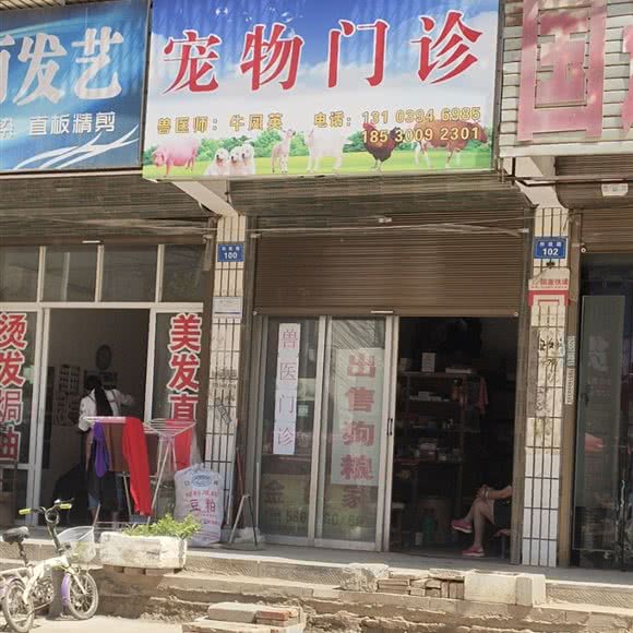 宠物门诊:周口市商水县