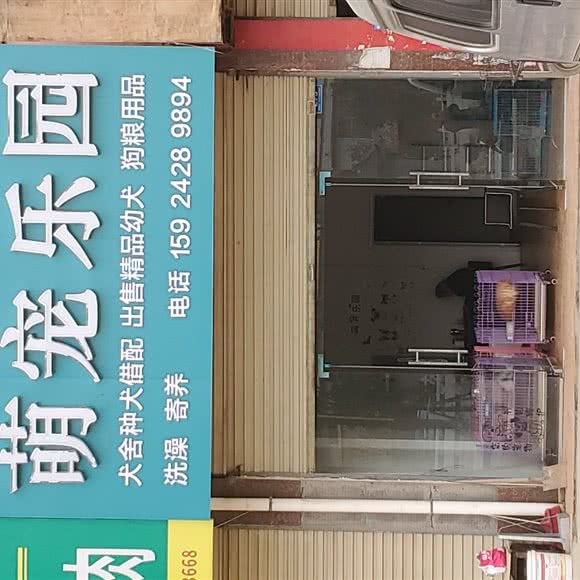 萌宠主题乐园:周口市郸城县