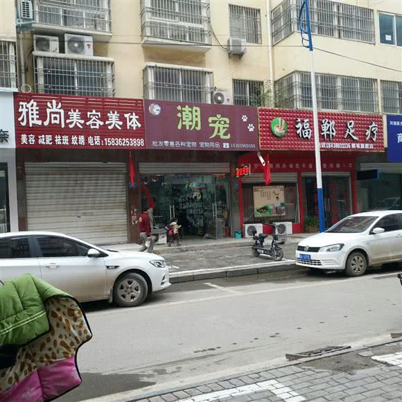 潮宠:周口市郸城县